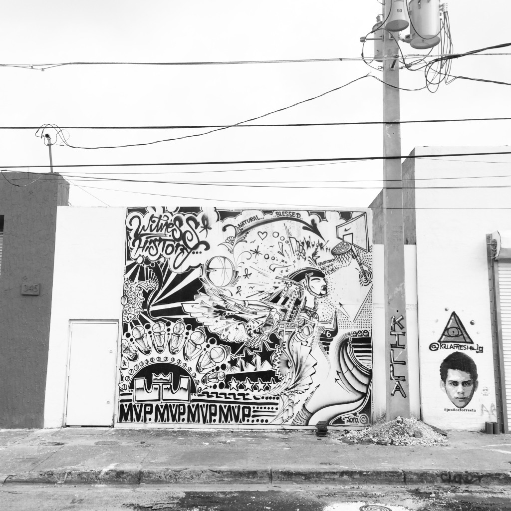 Wynwood Walls_Miami Florida_Jonathan Fanning Studio_Photographer Miami_urban Art Miami_graffiti miami_street art miami 